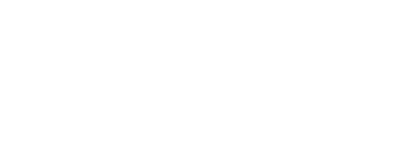 Wildcard Services