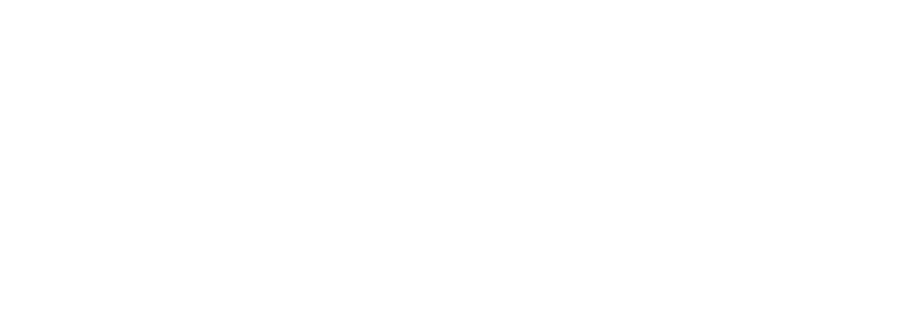 Wildcard Services
